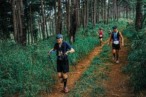 BIB: 
                            <button type="button" onclick="openModal(25695054)" class="btn btn-primary btn-sm float-right btn-popup" data-toggle="modal" data-target=".modal-high-quality">
                        <i class="fas fa-shopping-cart"></i> Add to Cart
                    </button>
                                            <button type="button" onclick="isThisMe(25695054, true)" class="btn btn-success btn-sm float-right btn-popup btn-isme hidden" data-toggle="tooltip" data-placement="bottom" title="นี่คือรูปของคุณใช่ไหม คลิกที่นี่เพื่อเอาเข้าอัลบั้ม">
                        <i class="fas fa-plus"></i> Add to album
                    </button>
                    <button type="button" onclick="isThisMe(25695054, false)" class="btn btn-warning btn-sm float-right btn-popup btn-isnotme hidden">
                        <i class="fas fa-ban"></i> Remove from album
                    </button>